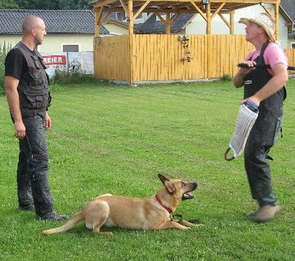 Juli 2011