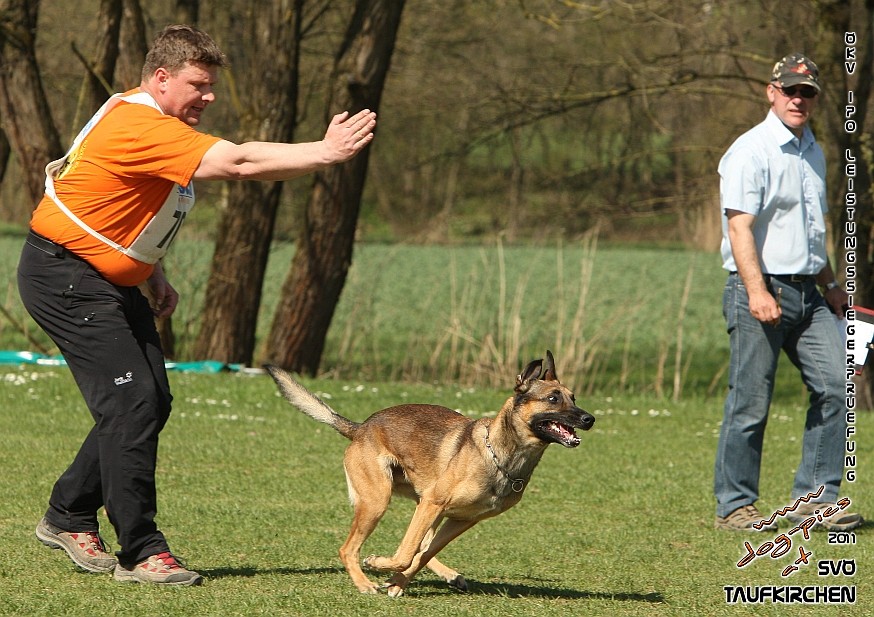ÖKV-Leistungssiegerprüfung 2011