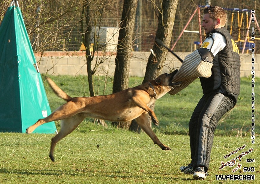 ÖKV-Leistungssiegerprüfung 2011