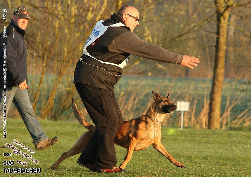 ÖKV-Leistungssiegerprüfung 2011