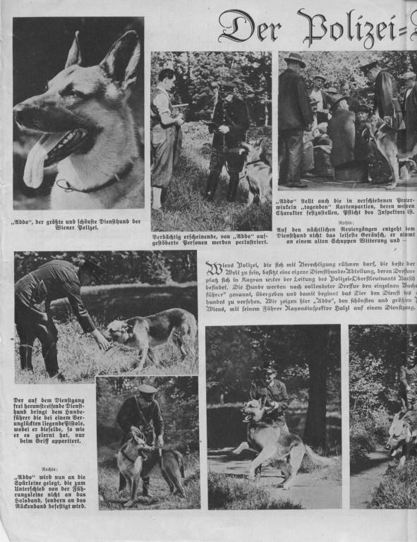 Österreichische Woche vom 12.09.1935