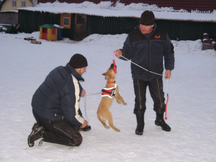 Erstes Training