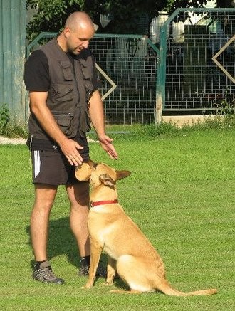 Juli 2011