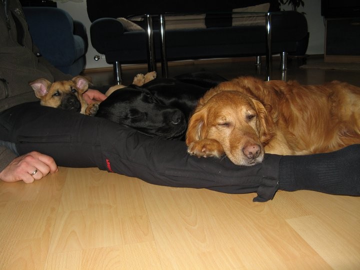 Kuschelstunde im Hause Polz