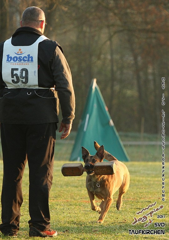 ÖKV-Leistungssiegerprüfung 2011