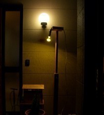 防虫効果