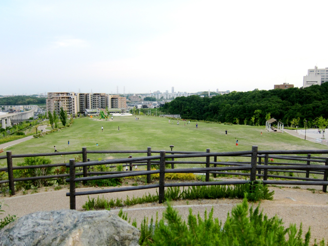 彩都西公園からの風景