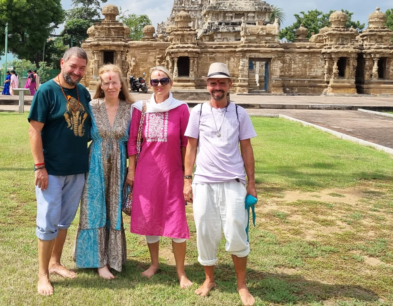 Feedback Palmblattreise