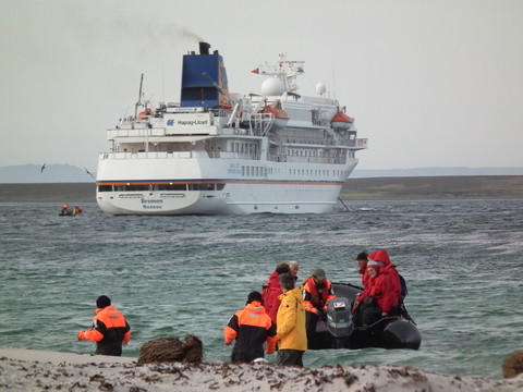 die Zodiacs bringen uns wieder an Bord