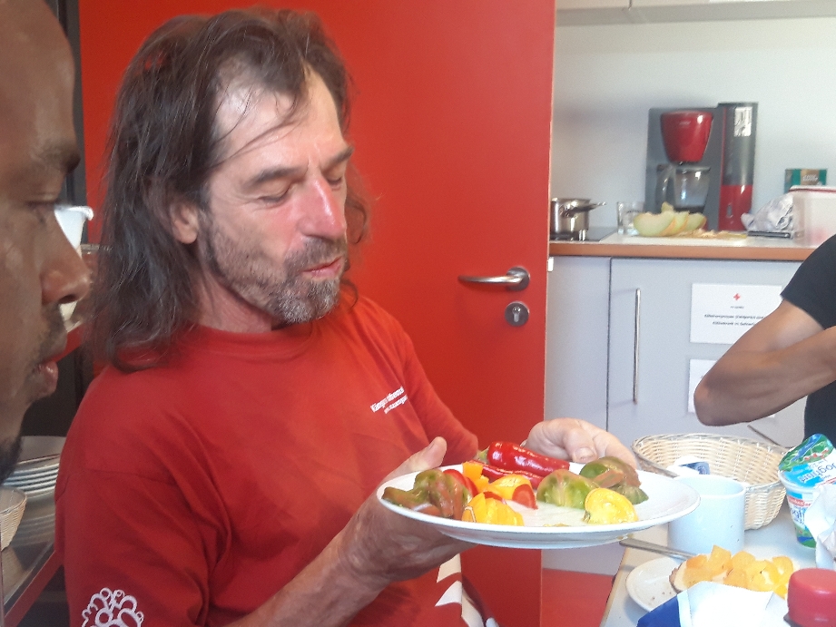 Leo und Silvias Tomaten.🤩