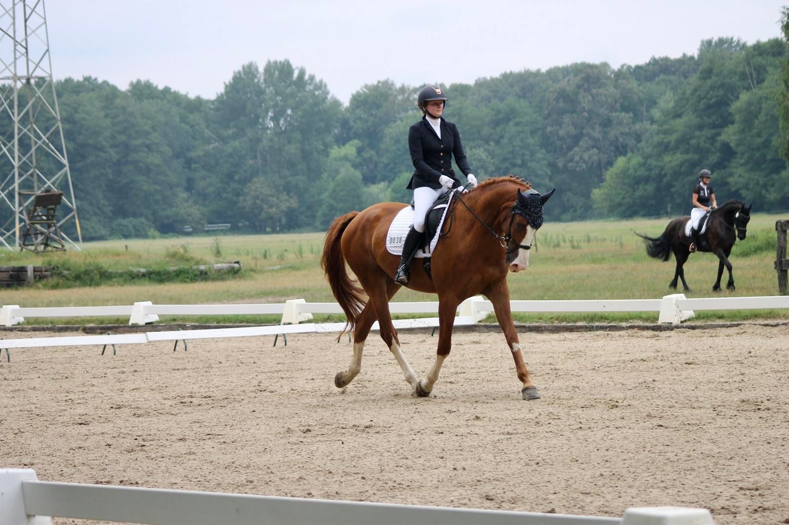 Ulrike Welz, erfolgreich mit Cassilio 