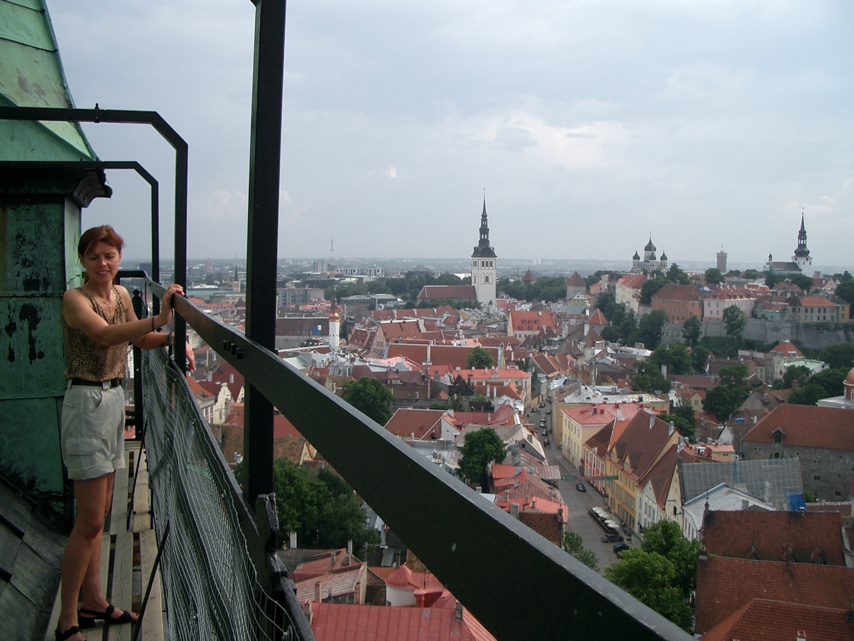 Blick auf die Unterstadt Tallin's