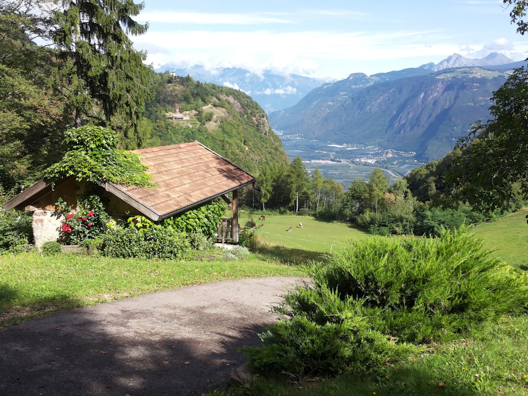 oberhalb Nals mit Blich Richtung Bozen (Idylle)