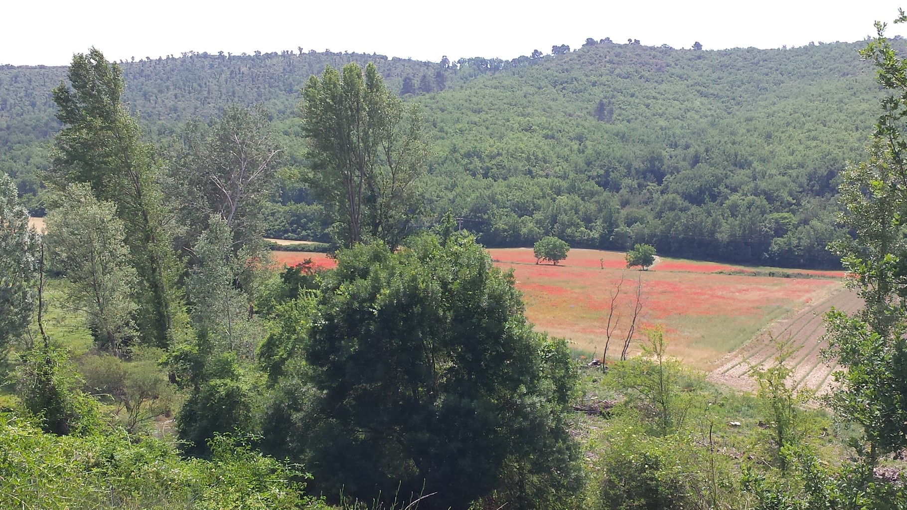 auf dem Weg zum Grand Canyon du Verdon