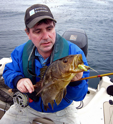 Calico bass fly fishing topwater San Diego  La Jolla