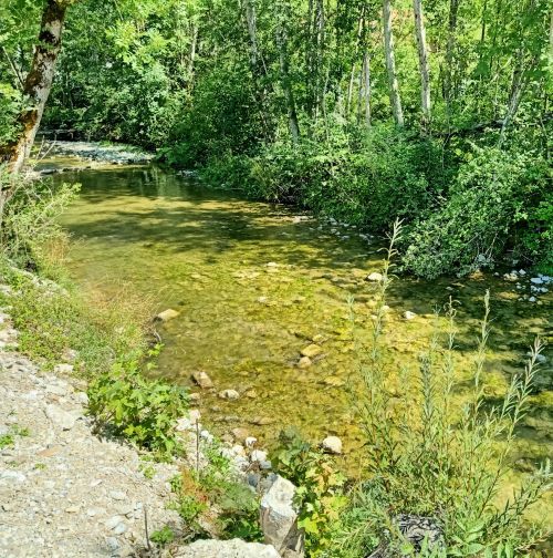 Am Bach