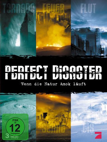 DVD-Cover Perfect Disaster