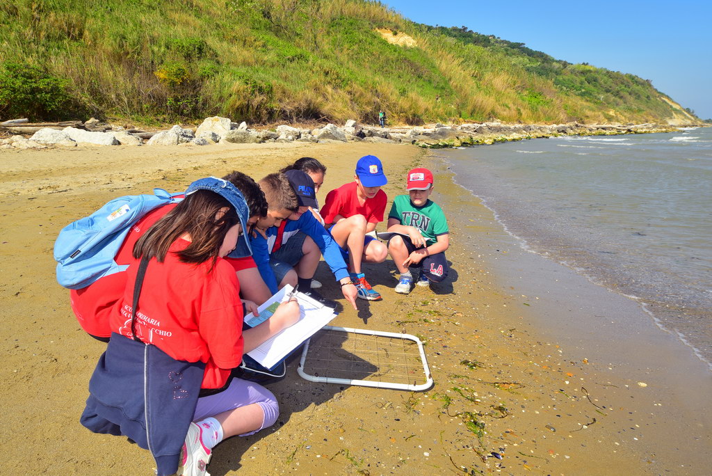 Beach Monitoring Protocol