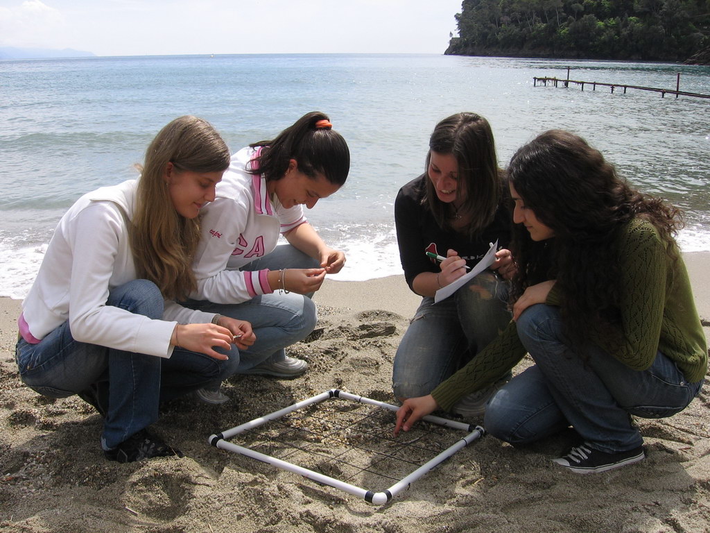 Beach Monitoring Protocol