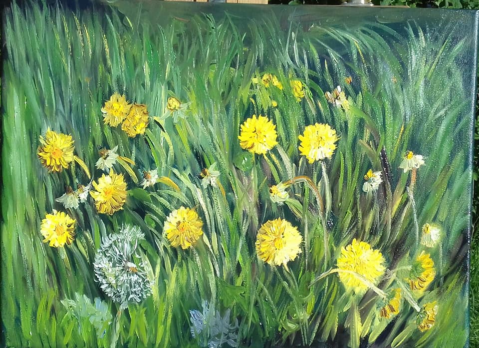 Löwenzahn 30  x 40 Öl.  270,-