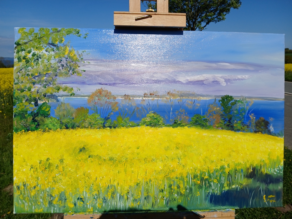 Rapsfeld an der Ostsee Öl 40 x60