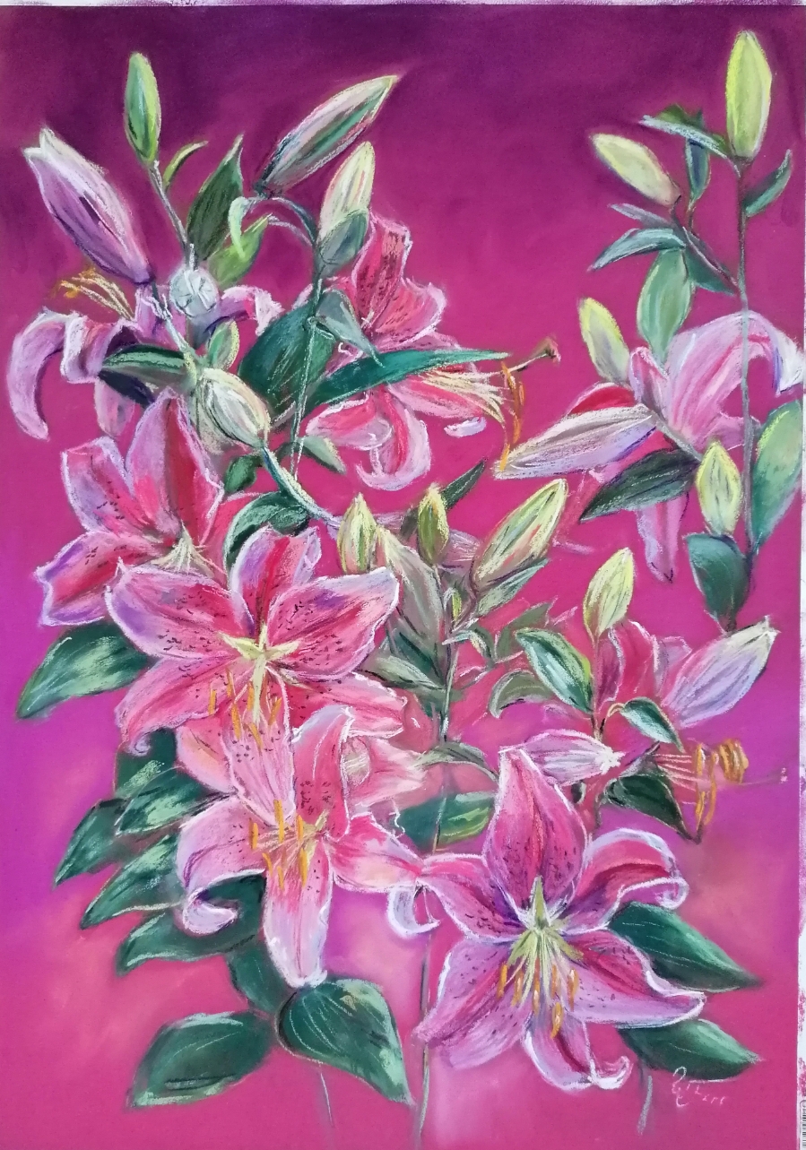 Lilien 50 x 70 Pastell     590,-