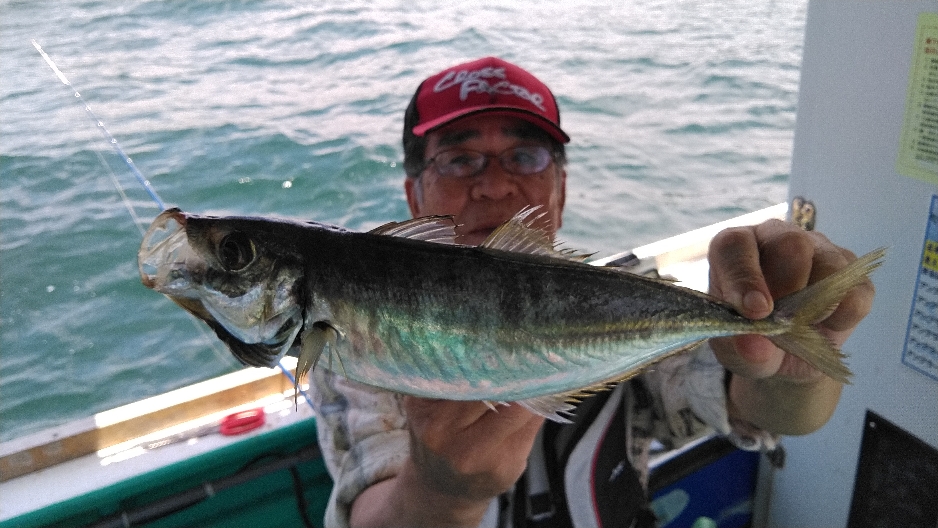 5月29日 泉州丸 釣果 大阪湾泉南岬町小島漁港の釣り船 泉州丸 5月29日 泉州丸 釣果 大阪湾泉南岬町小島漁港の釣り船 泉州丸