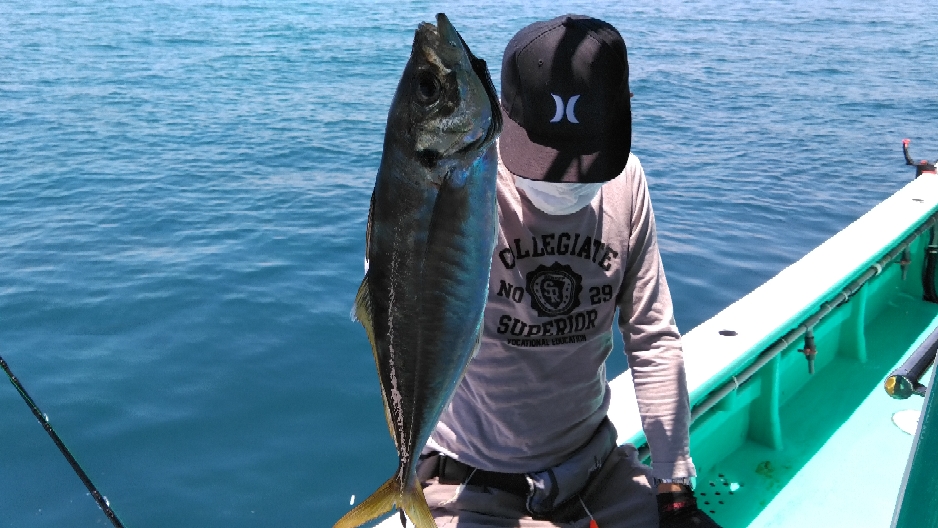 6月8日 泉州丸 釣果 大阪湾泉南岬町小島漁港の釣り船 泉州丸