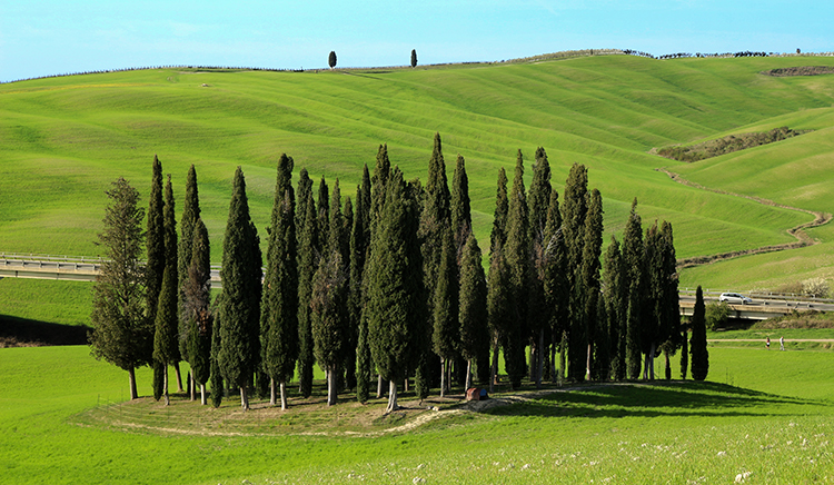 Val d'Orcia, Toskana, reiselust16.de