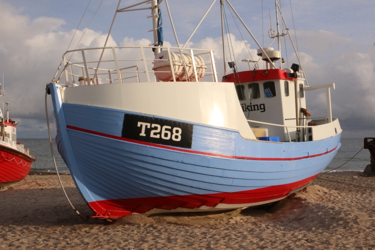 Fischkutter in Nørre Vorupør
