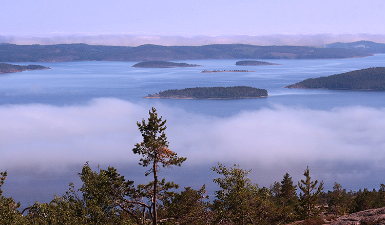 Wanderung zum Slåttdalsskrevan, Skuleskogen Nationalpark, Schweden