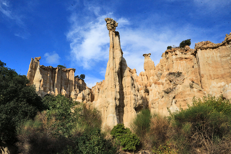 Ille-sur-Têt, Südfrankreich, Orgelpfeifen