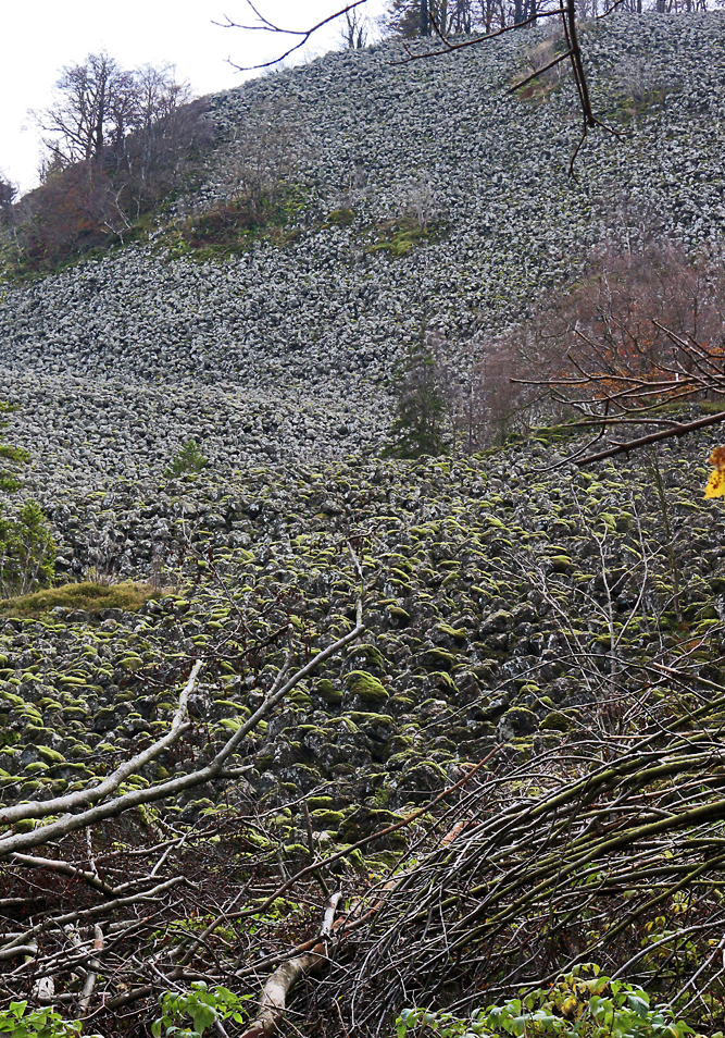 Blockschutthalde Schafstein 