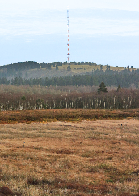 Blick über das Rote Moor in Richtung Heidelstein.