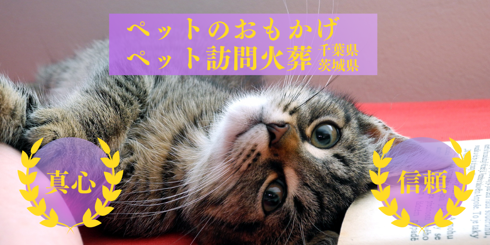 ペット訪問火葬サービスのご依頼はこちらです
