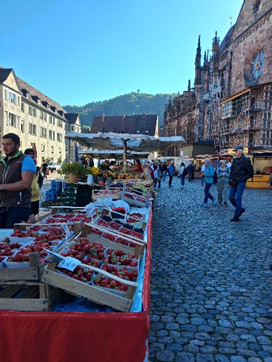 Wochenmarkt in Freiburg