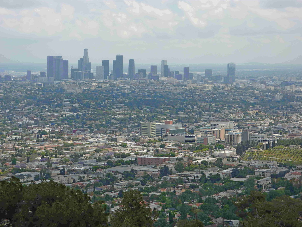 Los Angeles - Stadtbesichtigung (Hollywood)