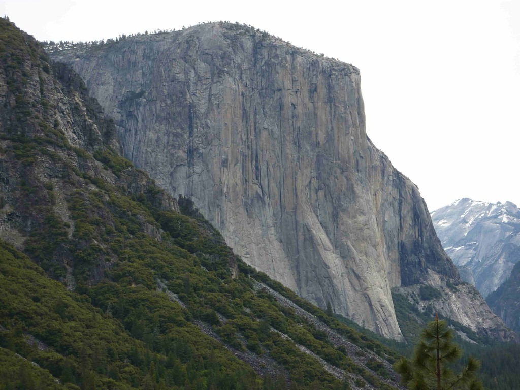 Yosemite Nationalpark, El Capitain mit fast 1000 m senkrechter Wand (2307 m)