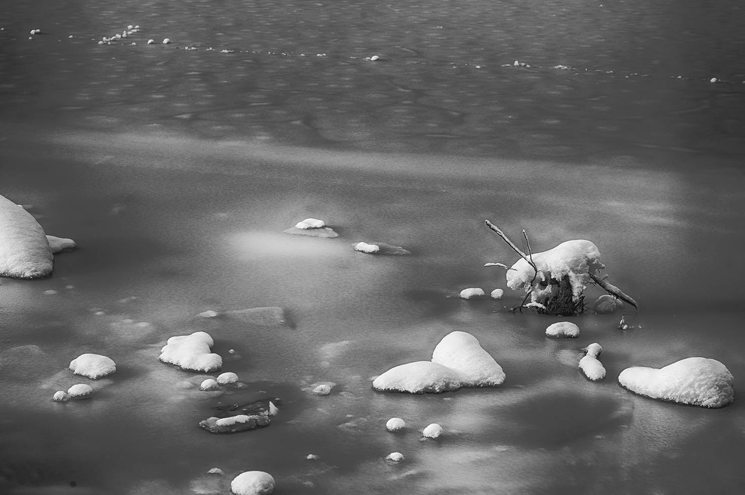 Formen im Teich, Schwarzweiss, Teichwanderweg Waldreichs/NÖ, 7.1.2021