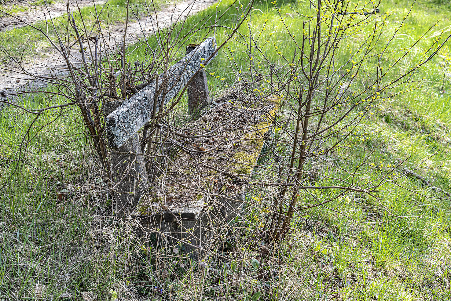 "Vergessene Bank", Lärchenallee Rastenberg/NÖ. Diese Bank wurde nach 1962 vom Verschönerungsverein Rastenfeld aufgestellt