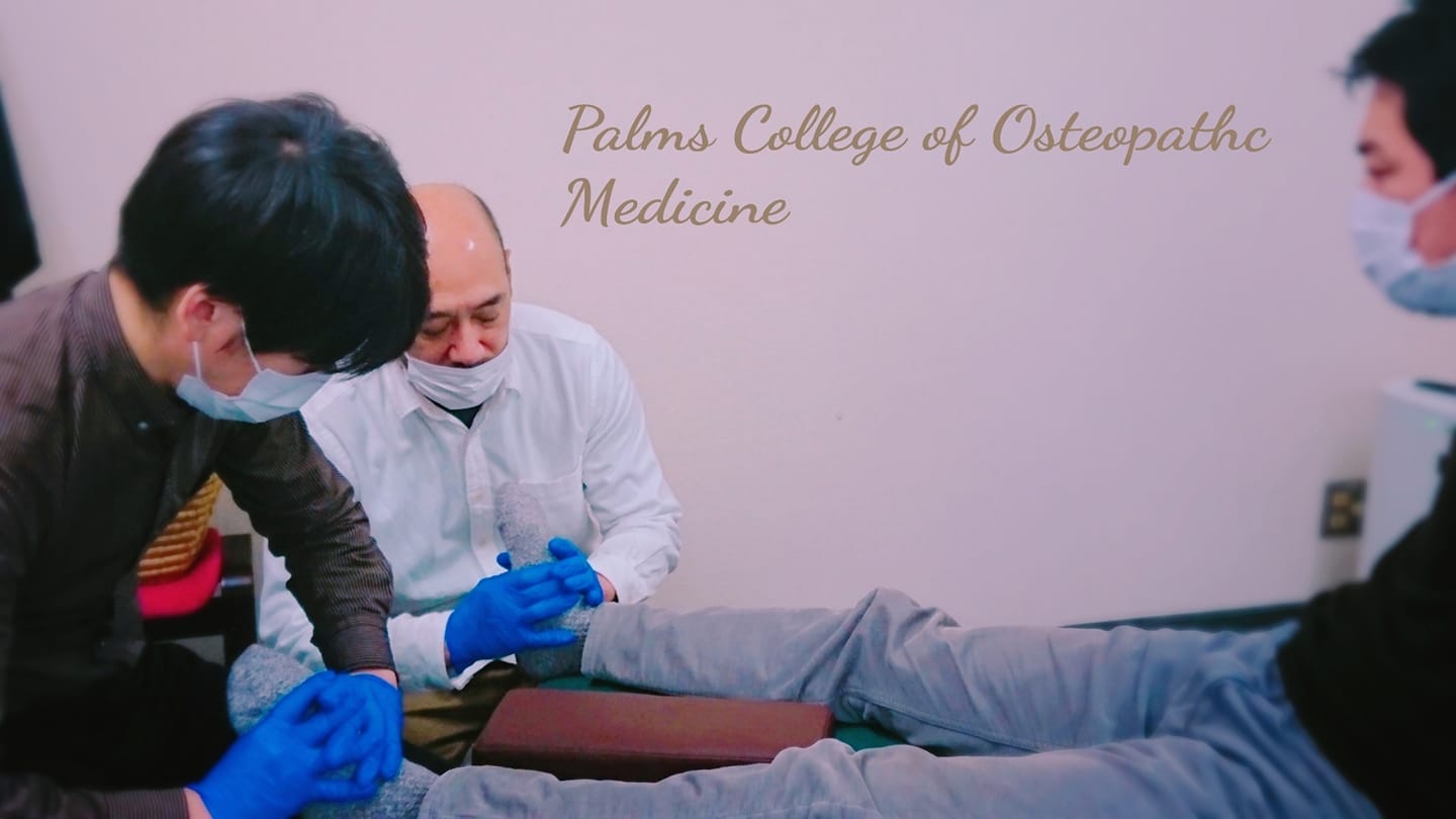 GOT-BASIC - PT、OT、柔道整復師、カイロプラクターの為の