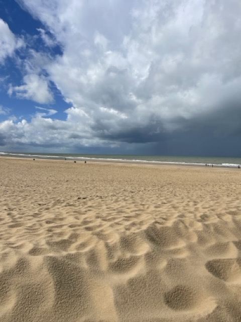Classes de mer - mercredi & jeudi