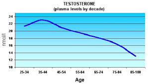 Entwicklung des Testosteronhaushaltes beim durchschnittlichen Mann