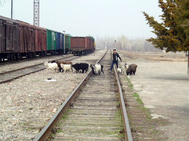 Crossing the line, Kyrgyzstan 2014