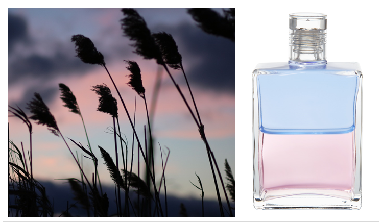 BLOG: Equilibrium B58 Hellblau/Hellrosa, Orion und Angelica