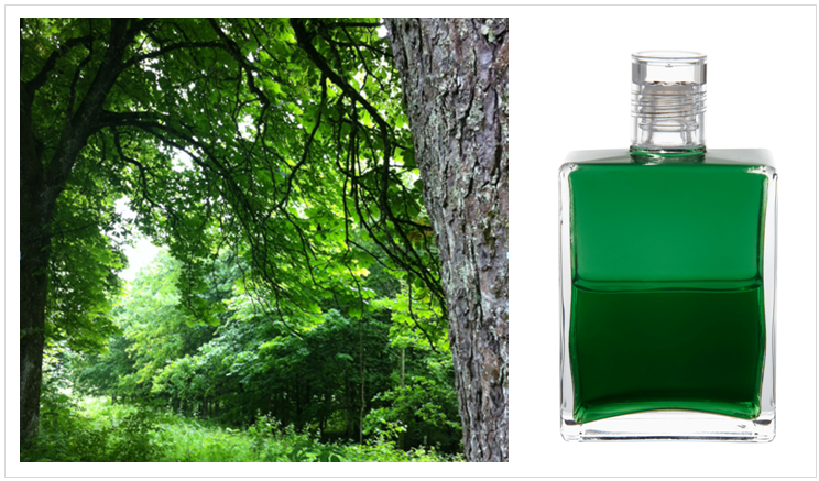 AURA-SOMA® - B10 GRÜN/GRÜN - GEH, UMARME EINEN BAUM!