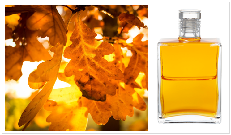 AURA-SOMA® - B41 GOLD/GOLD - DIE WEISHEITSFLASCHE