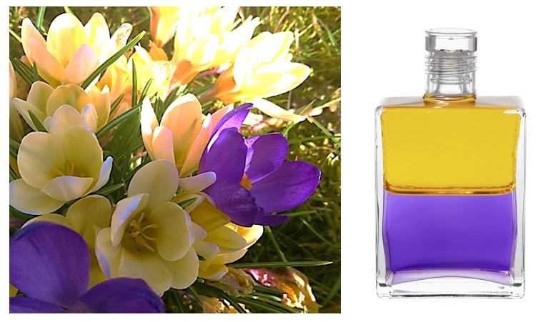 AURA-SOMA® - B18 GELB/VIOLETT - ÄGYPTERFLASCHE 1