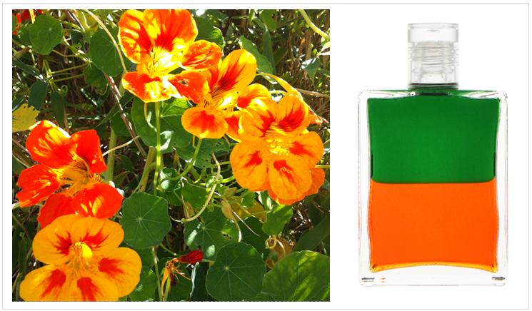 AURA-SOMA® - B82 GRÜN/ORANGE- CALYPSO