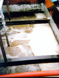 発酵槽